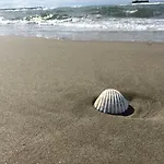 Aquaplage 45m2 Front De Richelieu אגדה