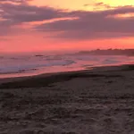 Aquaplage 45m2 Front De Richelieu