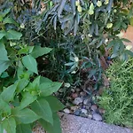 Aquaplage 45m2 Front De Richelieu דירה אגדה