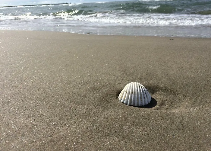 Aquaplage 45m2 Front De Richelieu Agde