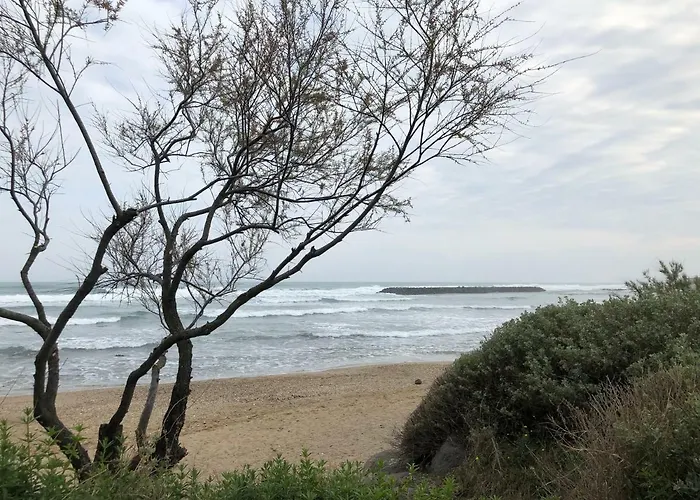 Apartment Aquaplage 45m2 Front De Richelieu