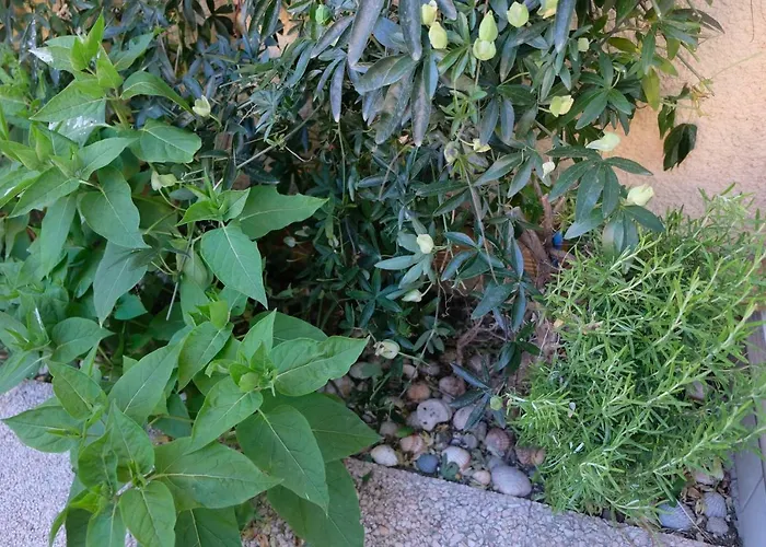 Aquaplage 45m2 Front De Richelieu Apartment Agde